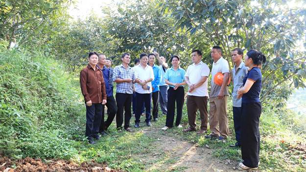 Xã Lộc Bình: Học tập kinh nghiệm các mô hình kinh tế nông nghiệp hiệu quả