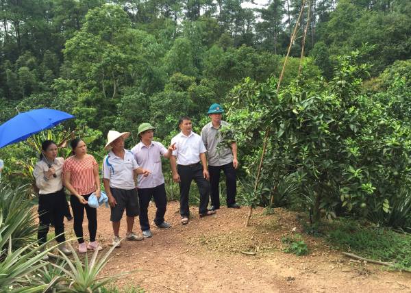 Đoàn khảo sát của HĐND huyện thăm mô hình cây ăn quả tại xã Hữu Khánh.jpg